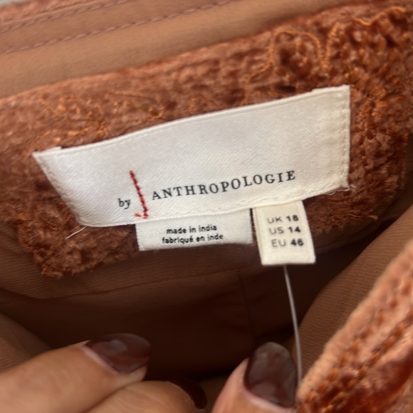 Anthropologie Lucie Embroidered Velvet Slip Dress - Picture 11 of 15
